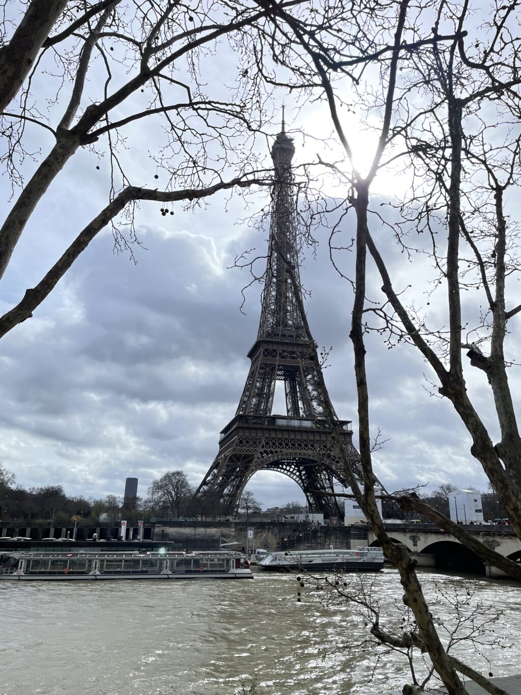 パリ万博に建てられた エッフェル塔(La Tour Eiffel) - Home & Kitchen