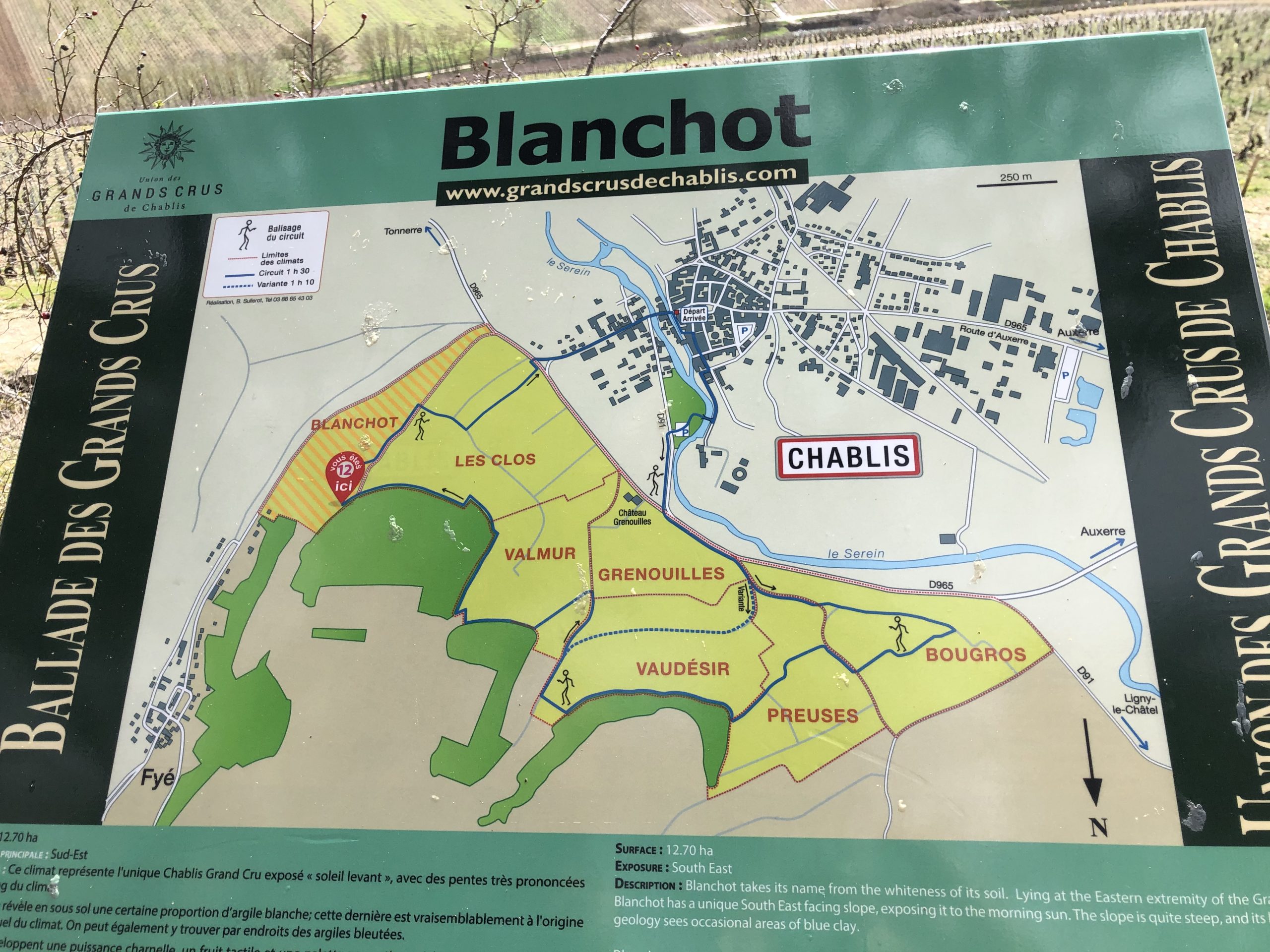 Chablis-Blanchot